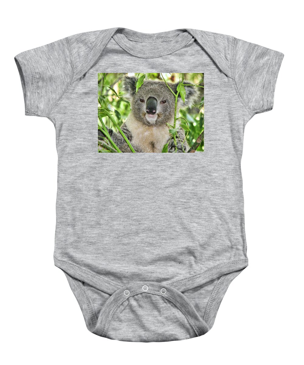 Koala Bear Baby Onesie featuring the photograph Koala Bear by Helaine Cummins