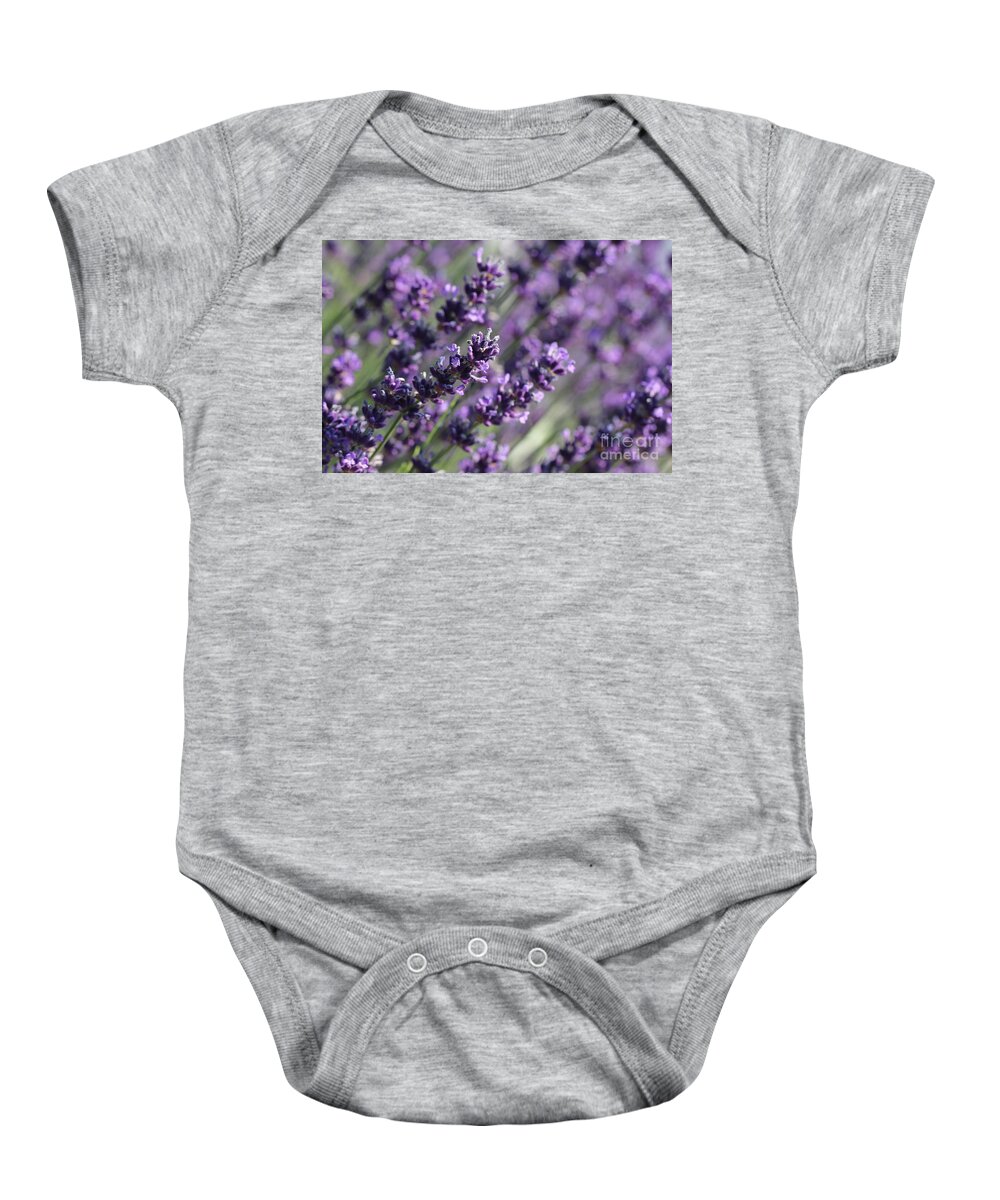 Closeup Baby Onesie featuring the photograph Lavender by Amanda Mohler