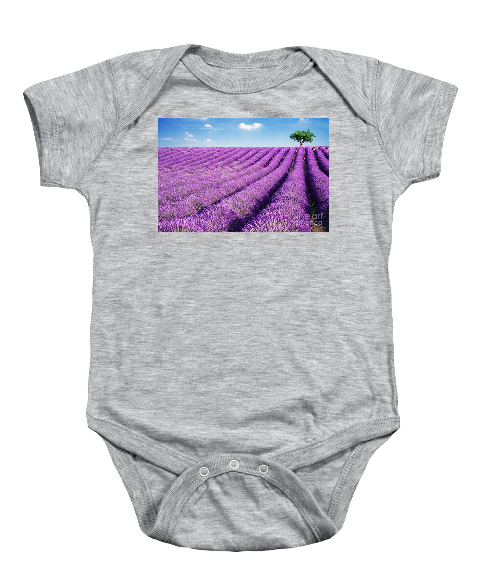 Agriculture Baby Onesie featuring the photograph Lavender field and tree in summer Provence France. by Matteo Colombo