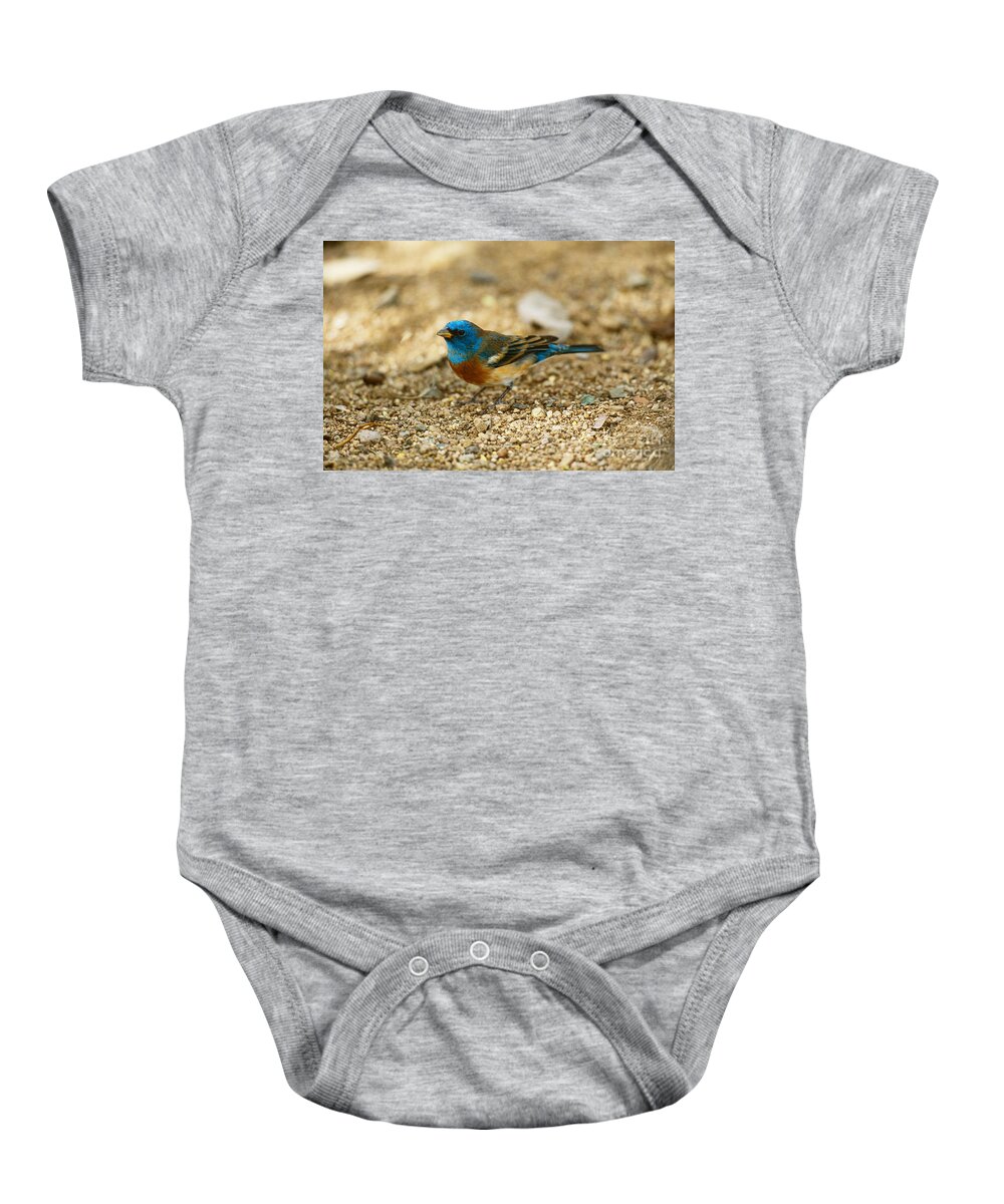 Fauna Baby Onesie featuring the photograph Lazuli Bunting by Art Wolfe