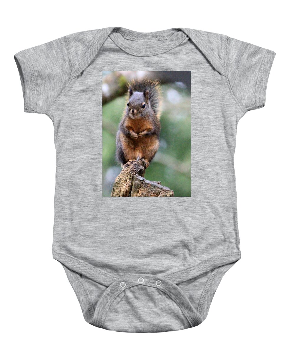 Mammals Baby Onesie featuring the photograph Like my MOO Stache by Kym Backland
