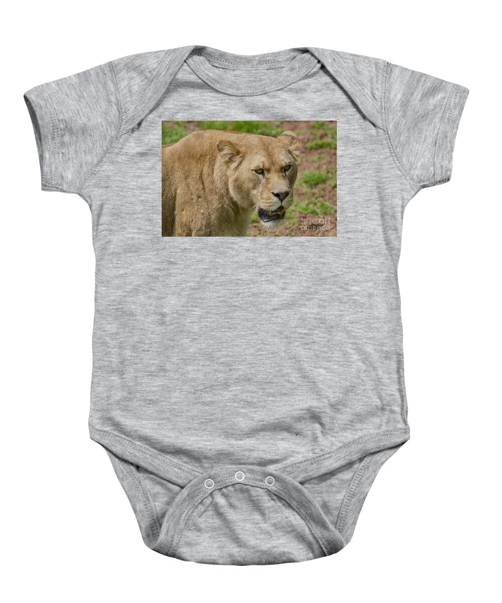 Lion Baby Onesie featuring the photograph Lioness by Steev Stamford