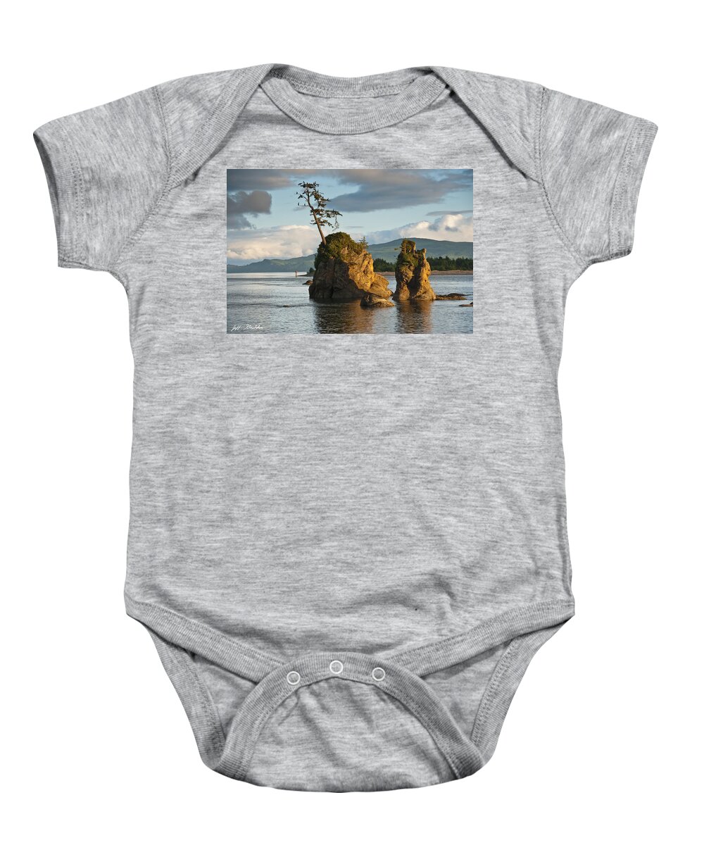 Bay Baby Onesie featuring the photograph Lone Tree on a Rock at Sunset by Jeff Goulden