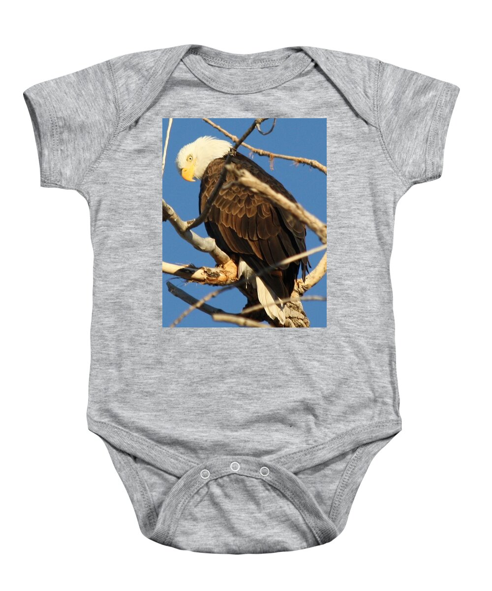 Bald Eagle Baby Onesie featuring the photograph Looking Back #1 by Shane Bechler