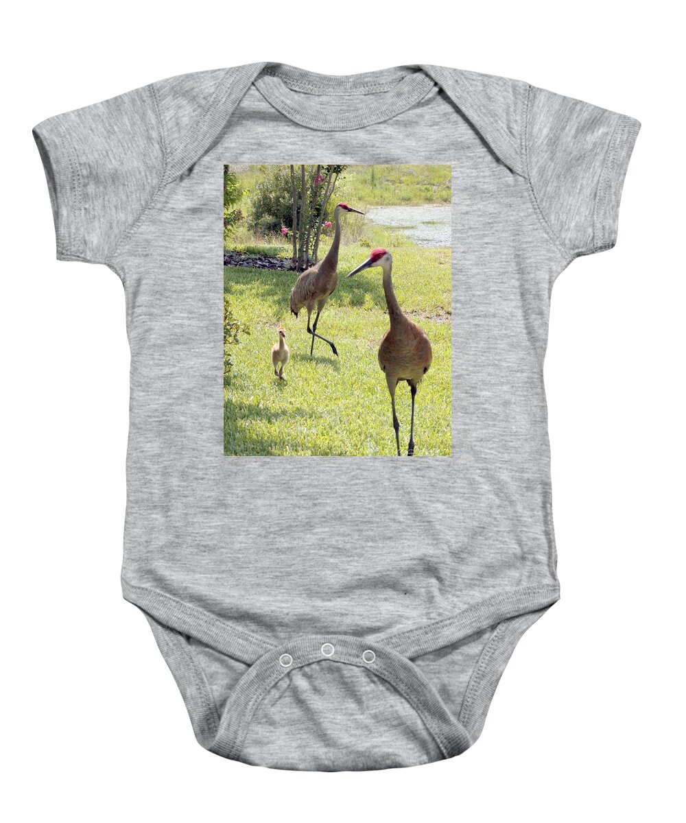 Sandhill Crane Baby Onesie featuring the photograph Looking for a Handout by Carol Groenen