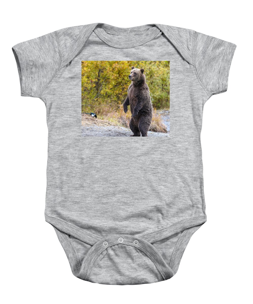 Bear Baby Onesie featuring the photograph Looking For Trouble by Kevin Dietrich