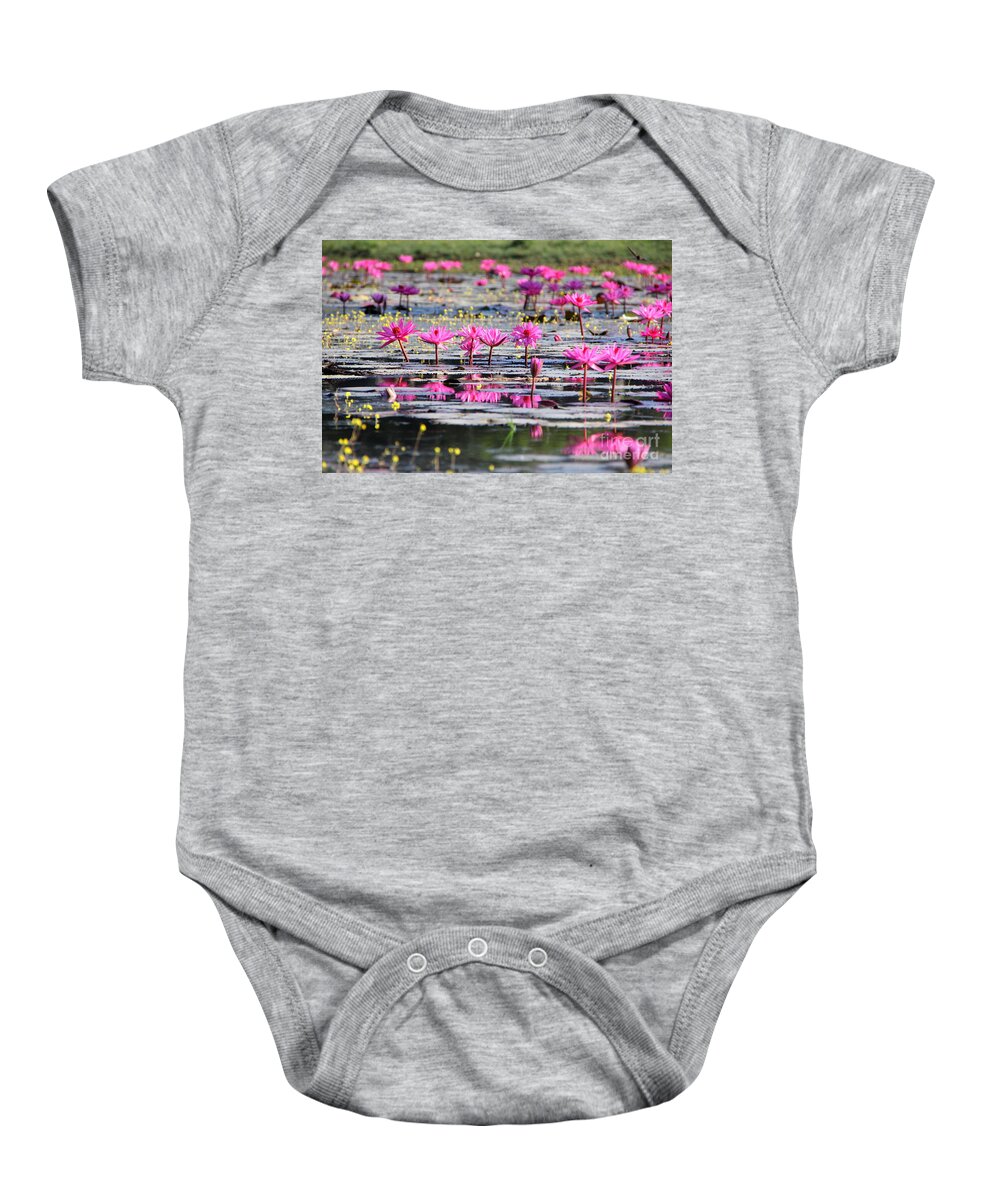 Aquatic Baby Onesie featuring the photograph Lotus flowers by Amanda Mohler