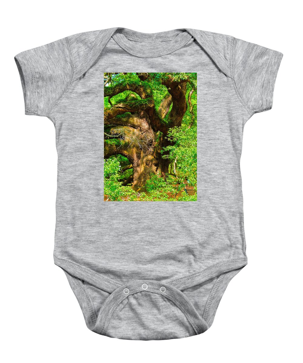 Angel Oak Baby Onesie featuring the photograph Magnificent Angel Oak by Louis Dallara