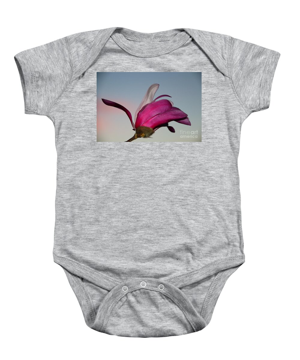 Beautiful Baby Onesie featuring the photograph Magnolia Blossom in the Sunset by Amanda Mohler