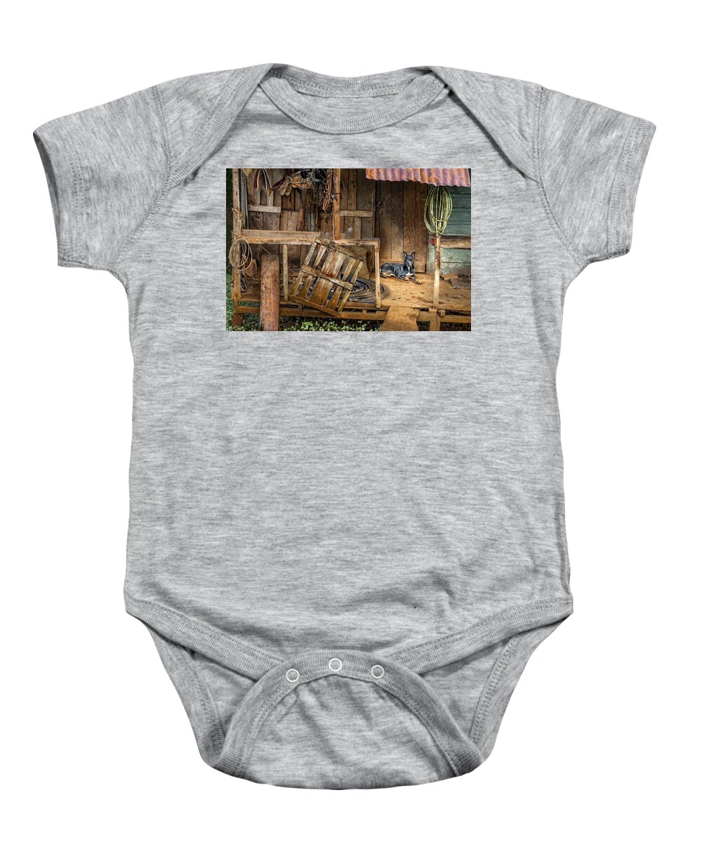 Dog Baby Onesie featuring the photograph Master's Home by Nancy Strahinic
