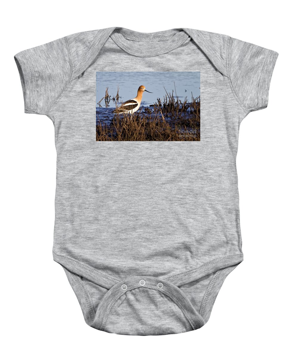 American Avocet Baby Onesie featuring the photograph Mating Time by Ronald Lutz