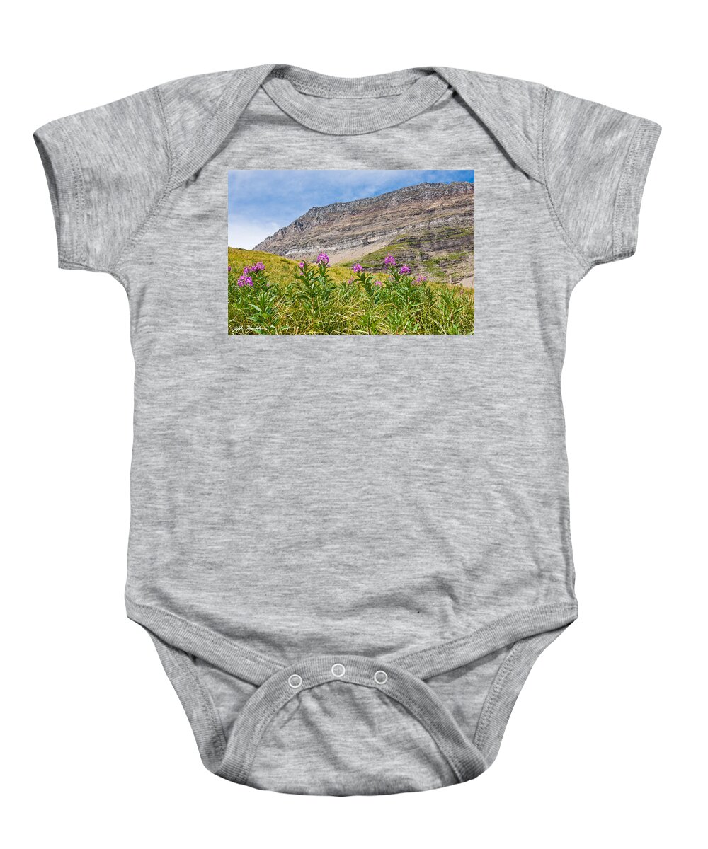 Alpine Baby Onesie featuring the photograph Meadow of Fireweed Below the Continental Divide by Jeff Goulden