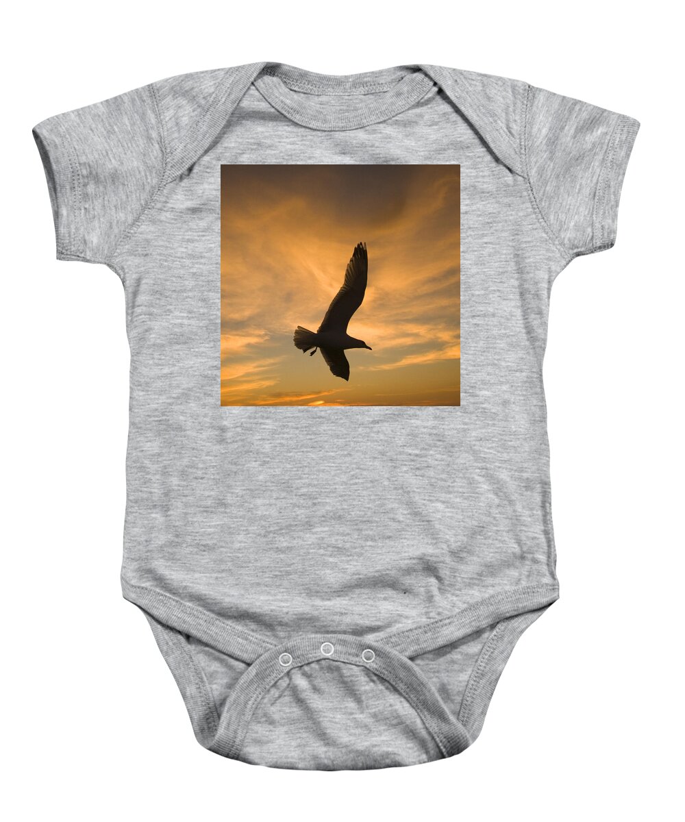 Feb0514 Baby Onesie featuring the photograph Mew Gull At Sunset La Jolla California by Tom Vezo