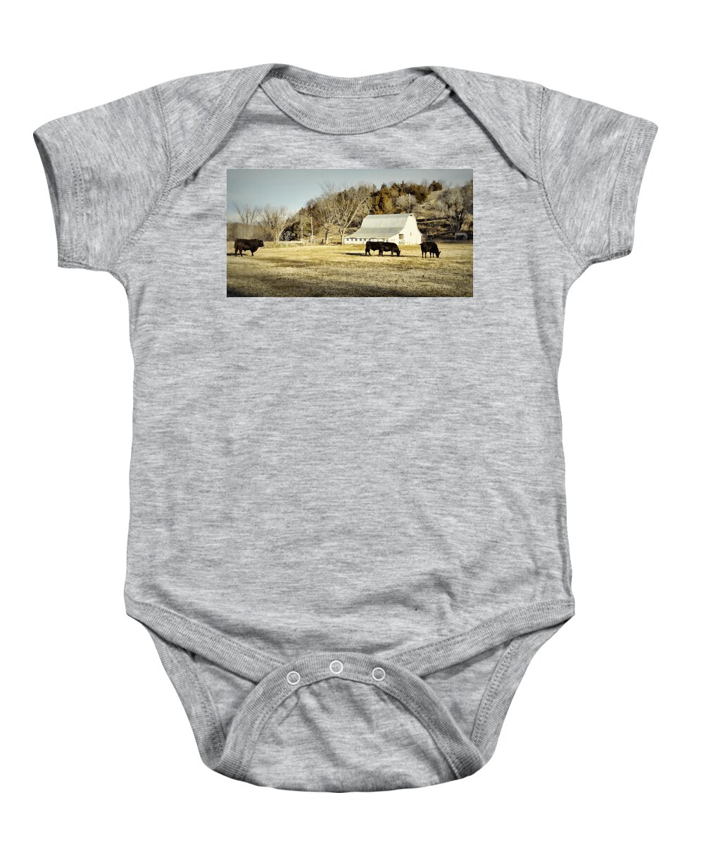 Barn Baby Onesie featuring the photograph Morning Graze by Cricket Hackmann