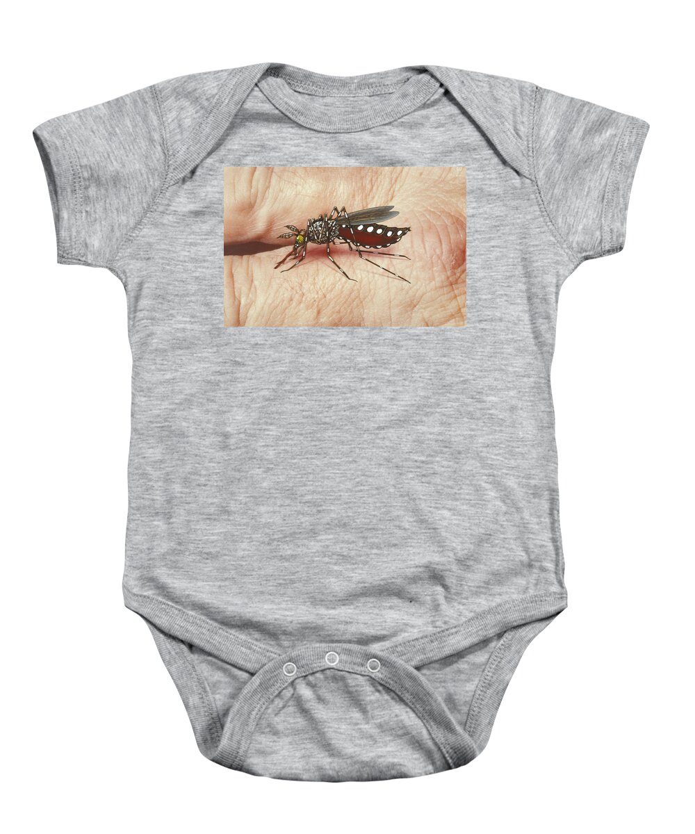 A. Aegypti Baby Onesie featuring the photograph Mosquito Biting Hand by Chris Bjornberg