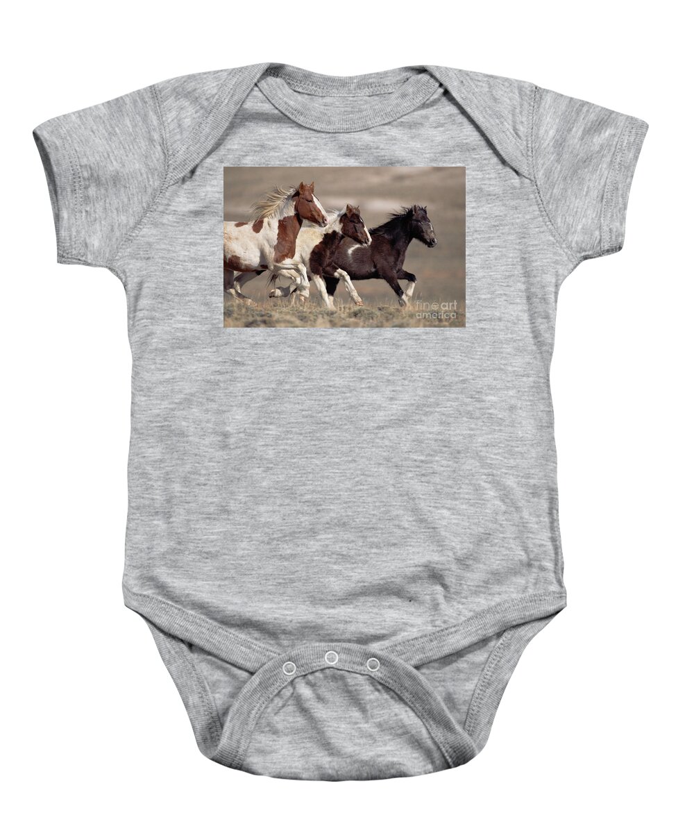 00340036 Baby Onesie featuring the photograph Mustang Bachelor Stallions by Yva Momatiuk John Eastcott