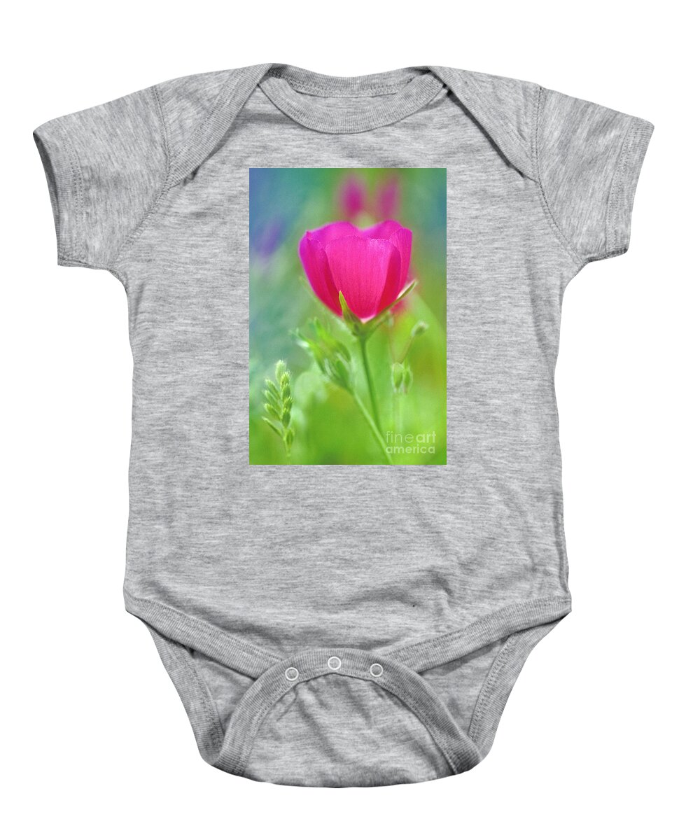 North America Baby Onesie featuring the photograph Natures Winecup South Texas by Dave Welling