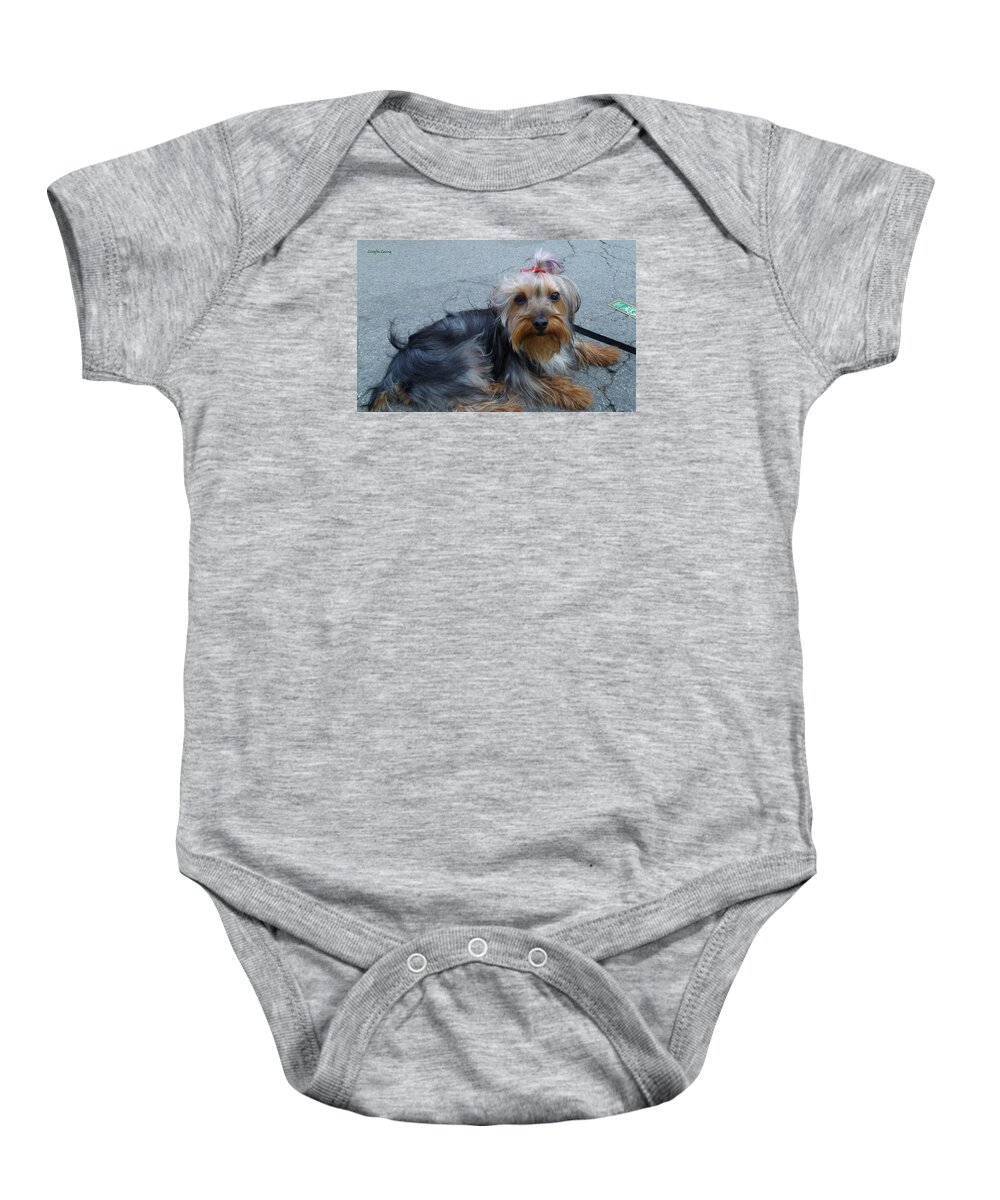 Pampered Puppy Baby Onesie featuring the photograph New Yorkie cutie by Lingfai Leung