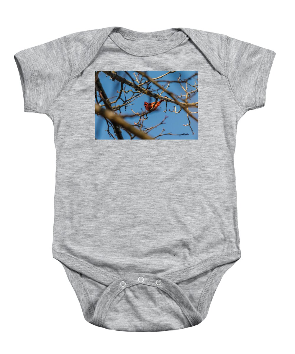 Cardinal Baby Onesie featuring the photograph Northern Cardinal by SAURAVphoto Online Store