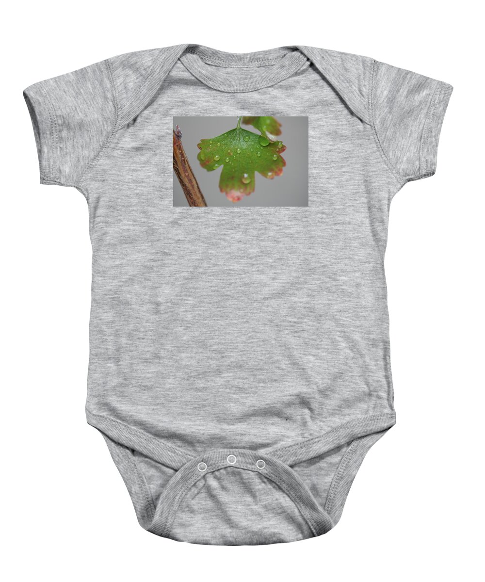 Leaf Baby Onesie featuring the photograph Rain drops on Leaf by Valerie Collins
