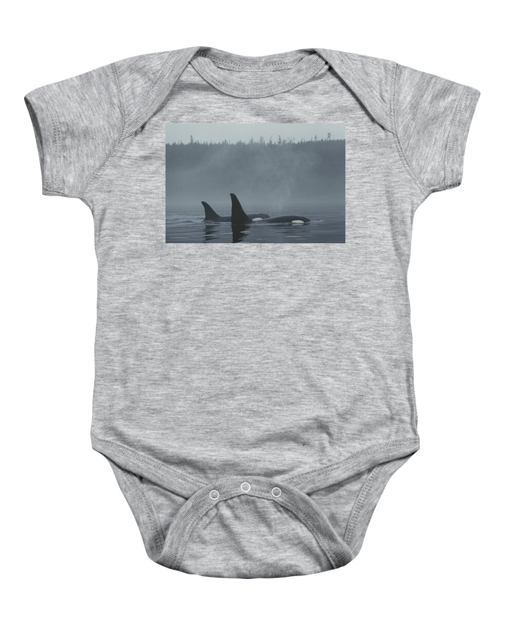 Feb0514 Baby Onesie featuring the photograph Orca Male And Female Surfacing Canada by Hiroya Minakuchi