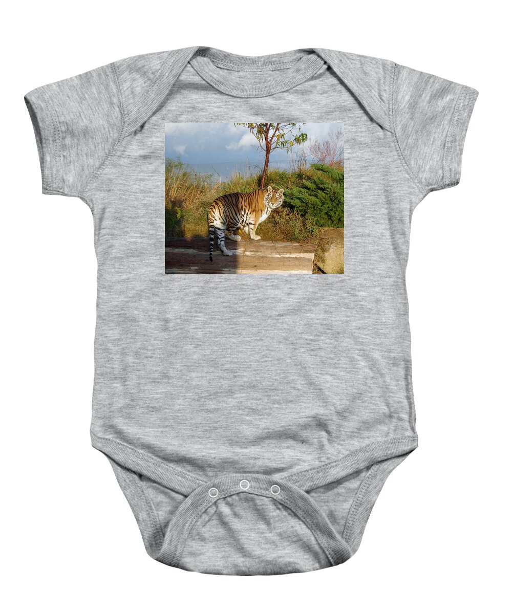 Africa Baby Onesie featuring the photograph Out of Africa Tiger 1 by Phyllis Spoor