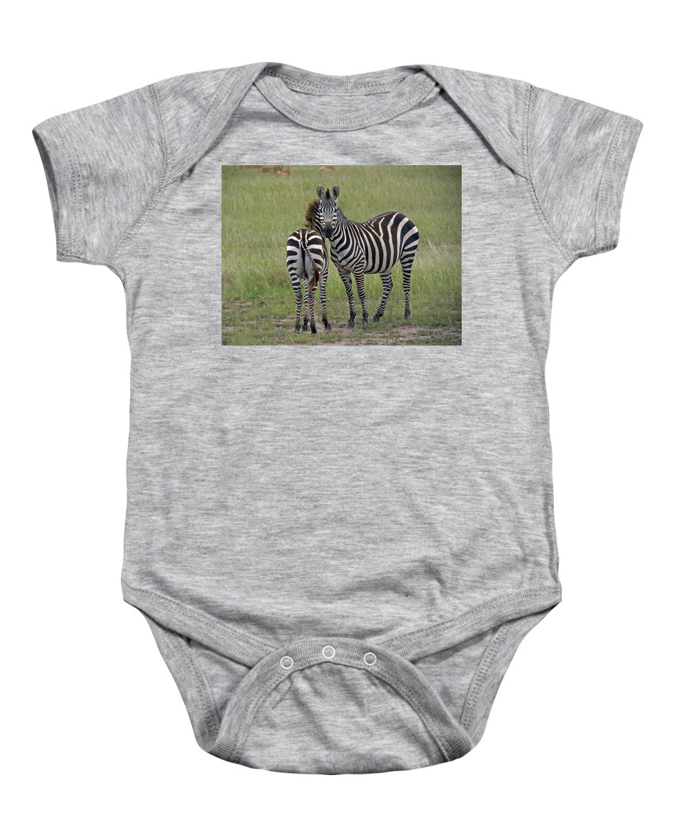 Zebra Baby Onesie featuring the photograph Pair of zebra by Tony Murtagh