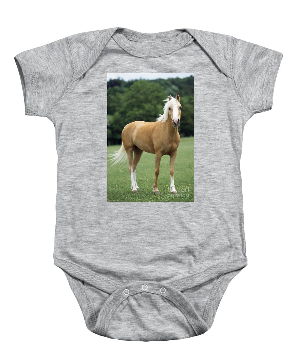 Horse Baby Onesie featuring the photograph Palomino Pony by John Daniels