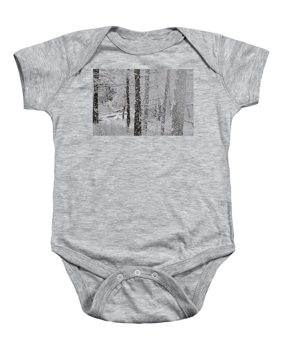 Landscape Baby Onesie featuring the photograph Pine Forest Snow Globe by Jack Harries