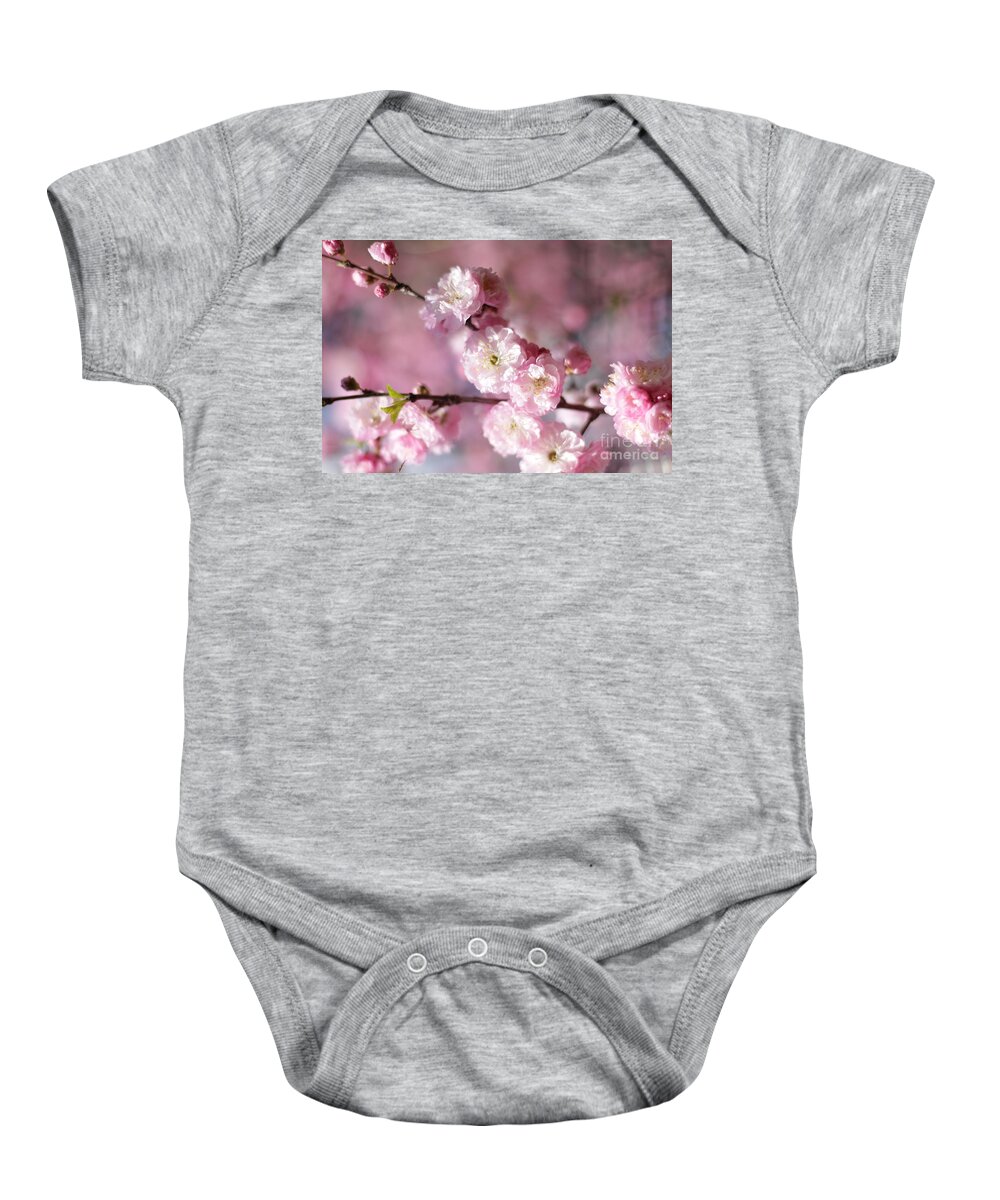 Landscape Baby Onesie featuring the photograph Pink Plum Branch 1 by Donna L Munro