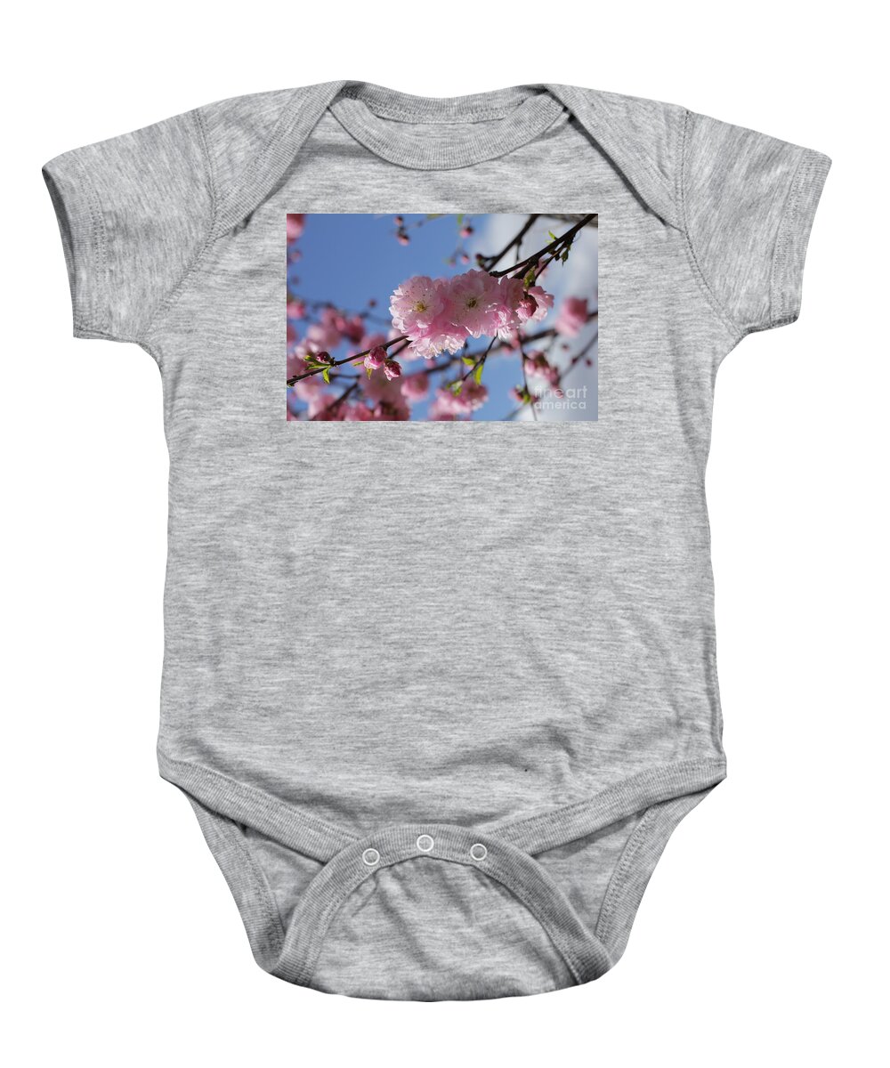 Landscape Baby Onesie featuring the photograph Pink Plum on Sky 2 by Donna L Munro
