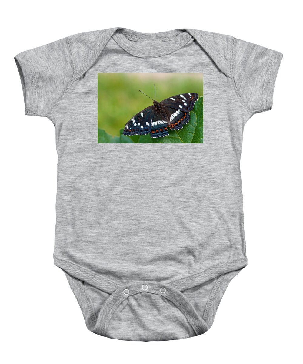 Poplar Admiral Butterfly Baby Onesie featuring the photograph Poplar Admiral by Torbjorn Swenelius