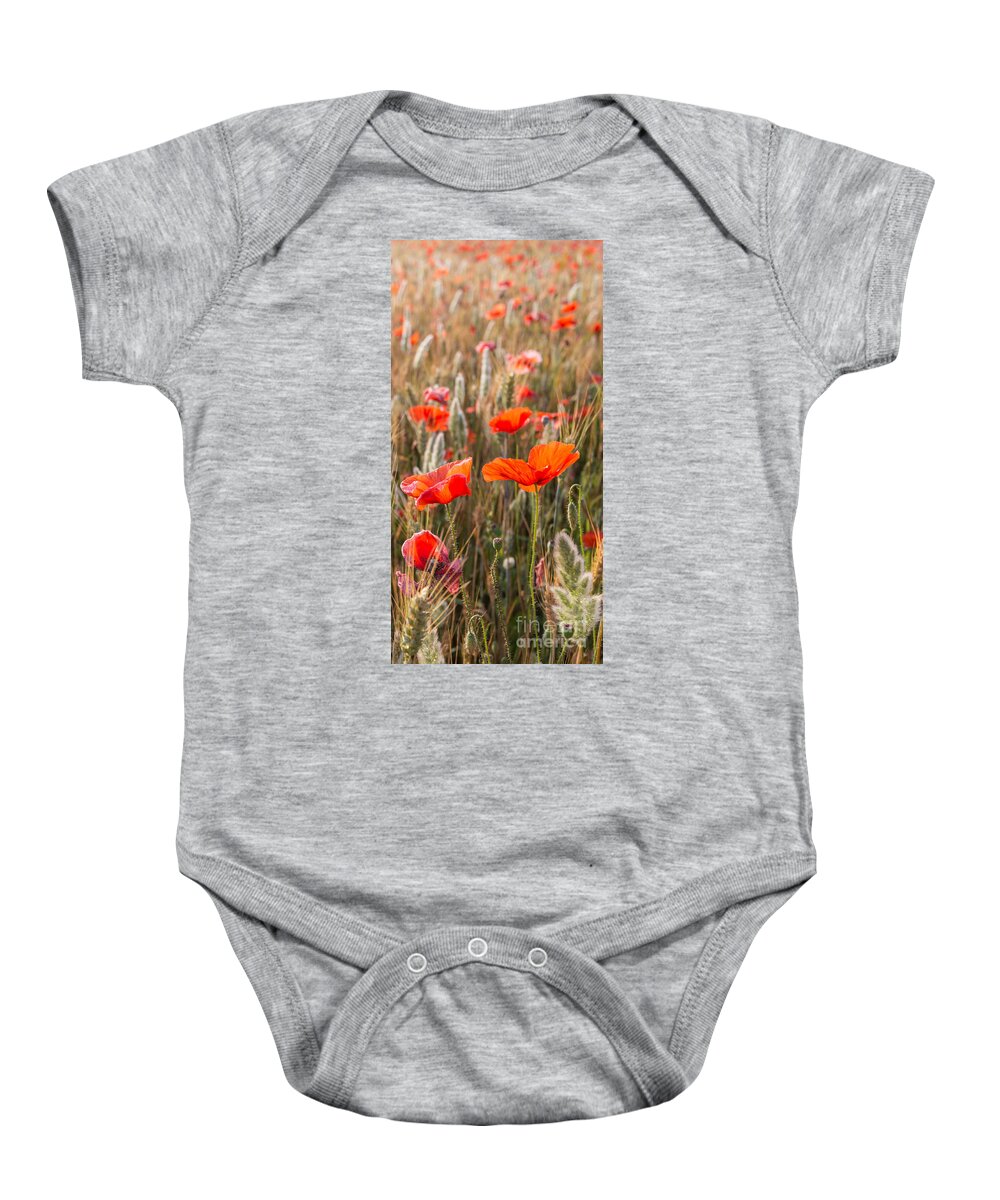 Agriculture Baby Onesie featuring the photograph Poppies In The Morning Sun by Hannes Cmarits