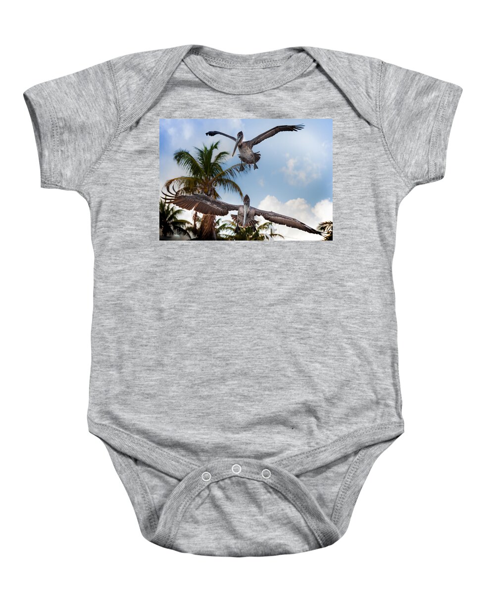 Pelicans Baby Onesie featuring the photograph Practice Makes Perfect by Karen Wiles