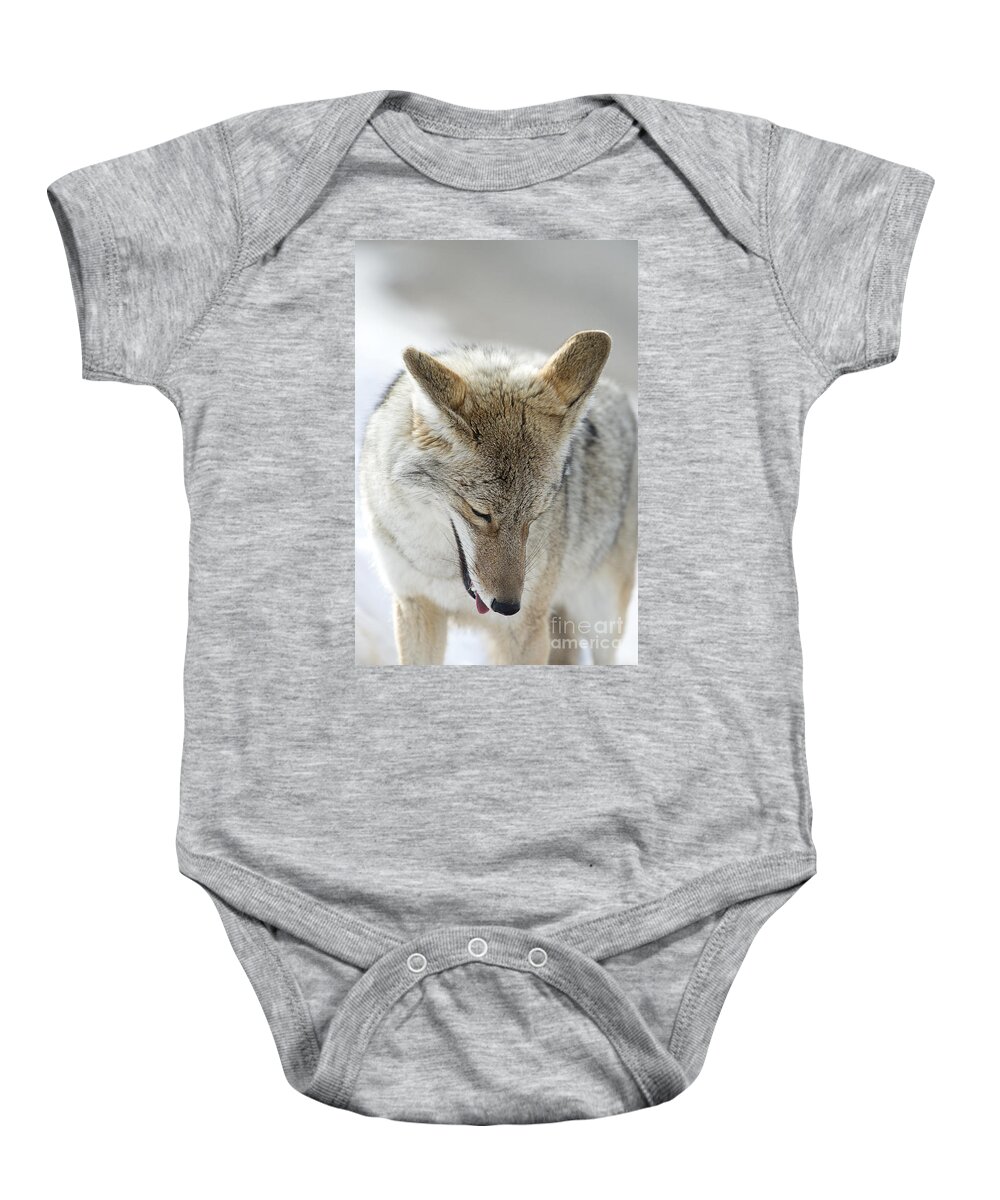 Coyote Baby Onesie featuring the photograph Prayers by Deby Dixon
