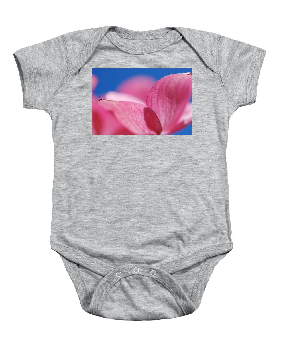 Pink Baby Onesie featuring the photograph Pretty in Pink by Kathy Paynter