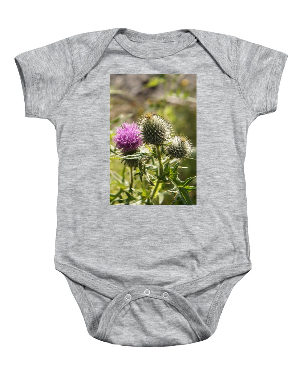 Thistle Baby Onesie featuring the photograph Prickly youth by Elena Perelman