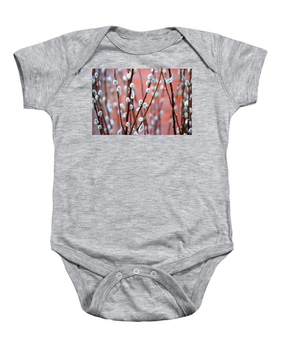 Spring Baby Onesie featuring the photograph Pussy Willows by Ira Shander