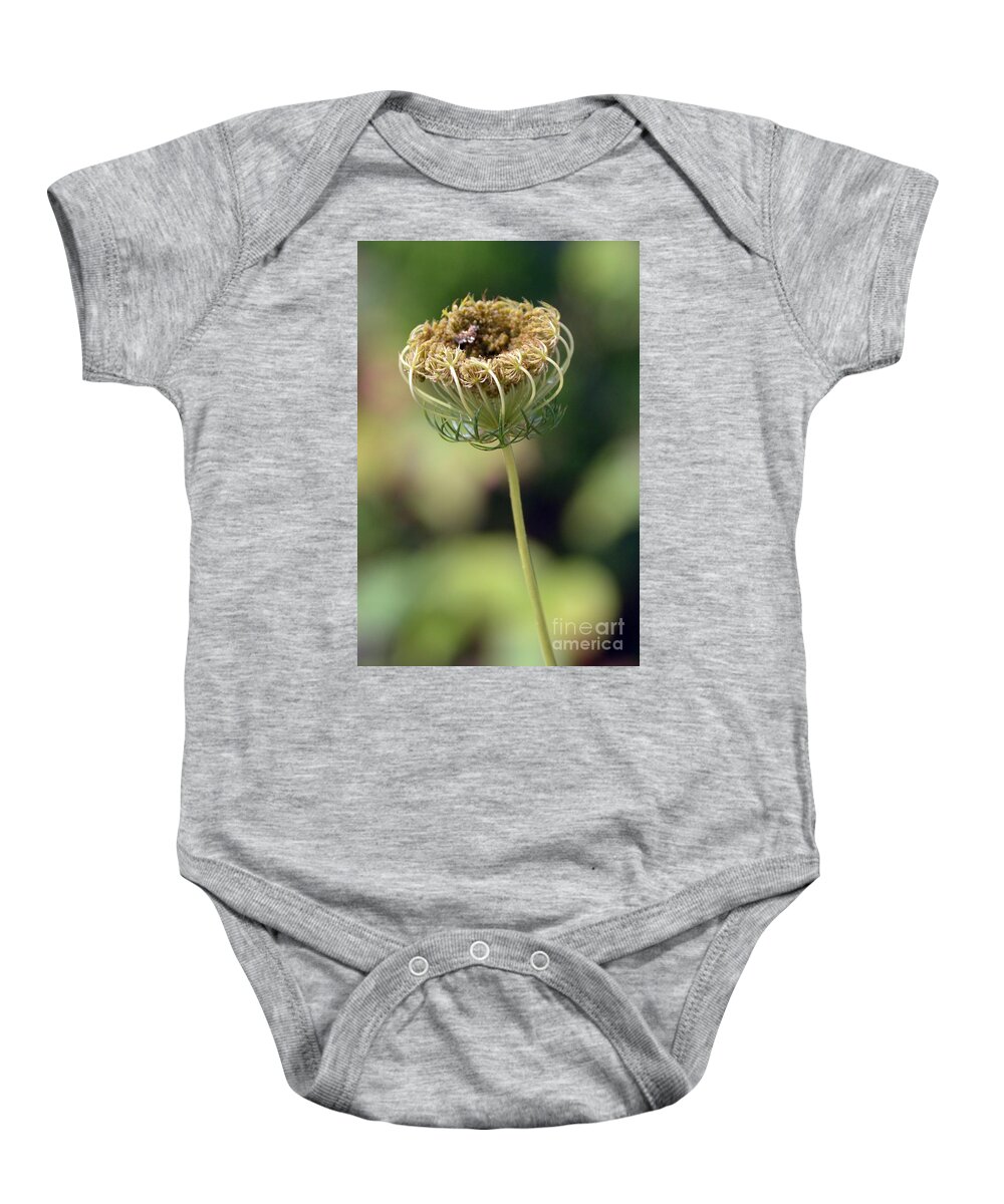 Plant Baby Onesie featuring the photograph Queen Anne's Dried Lace by Lynellen Nielsen