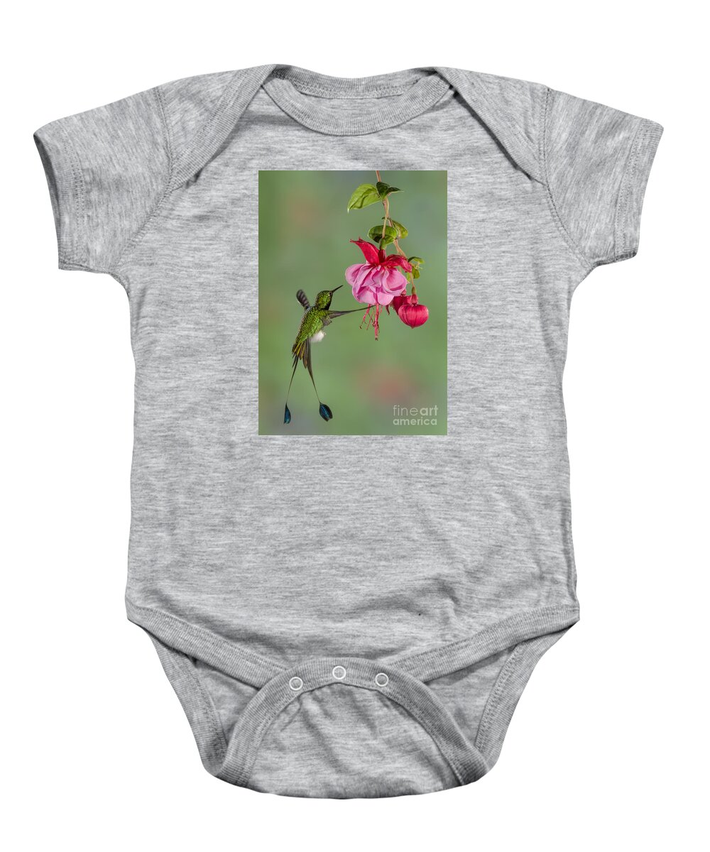 Andies Baby Onesie featuring the photograph Rackettail Hummingbird Approach by Jerry Fornarotto