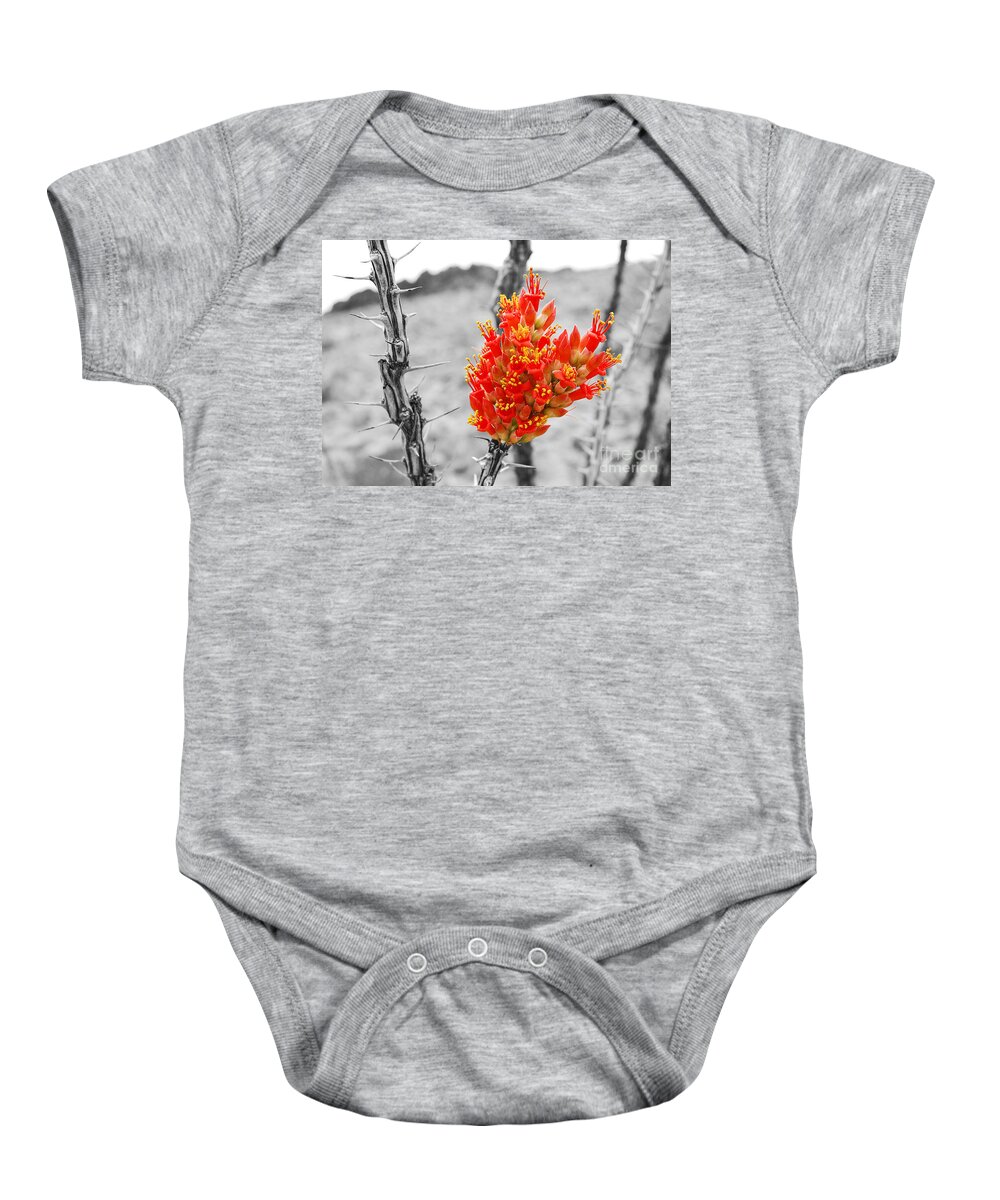 Travelpixpro Baby Onesie featuring the photograph Red Ocotillo Flower in Big Bend National Park Color Splash Black and White by Shawn O'Brien