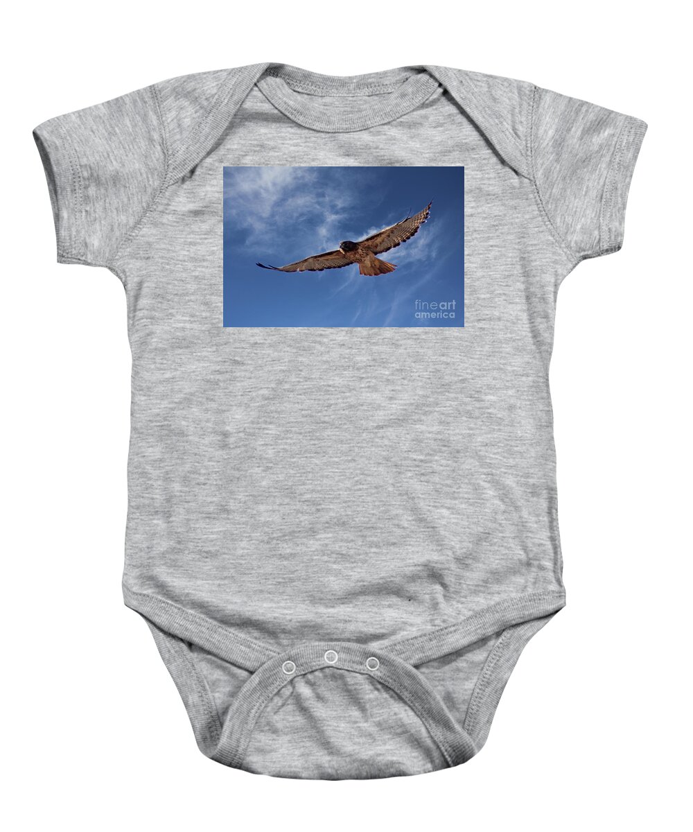 Colorado Baby Onesie featuring the photograph Red Tailed Hawk by Bob Hislop