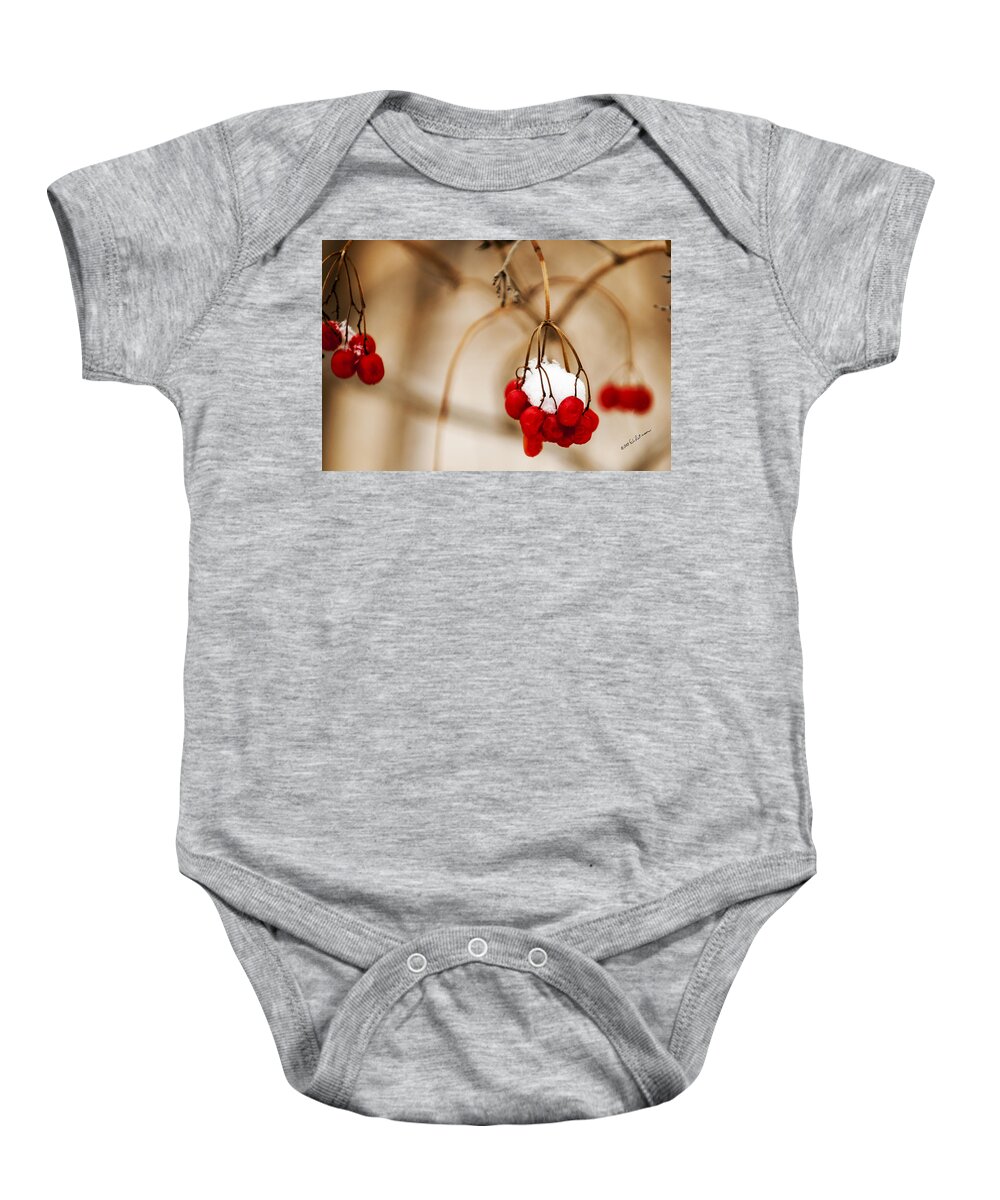 Winter Scene Baby Onesie featuring the photograph Refrigeration by Ed Peterson