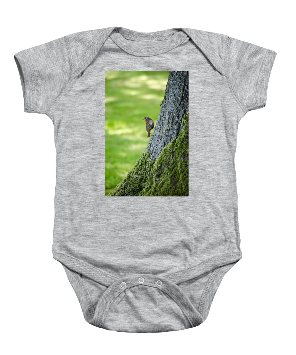 Garden Baby Onesie featuring the photograph Robin At Rest by Spikey Mouse Photography