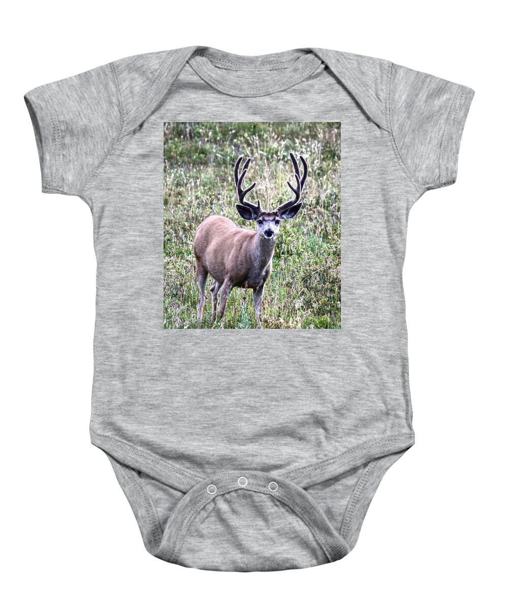 Deer Baby Onesie featuring the photograph Rocky Mountain Buck by Shane Bechler