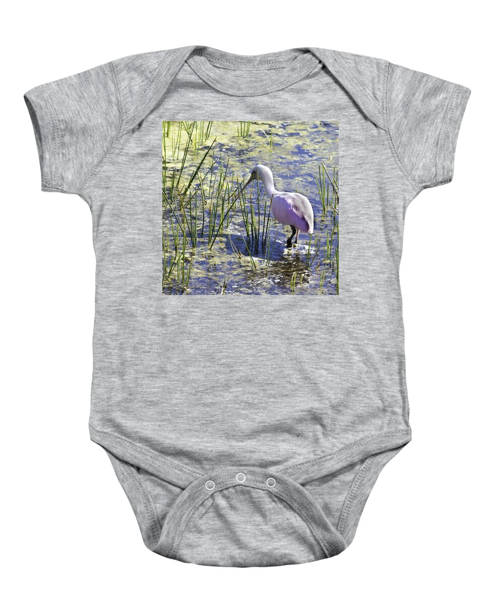 susan Molnar Baby Onesie featuring the photograph Roseate Spoonbill III by Susan Molnar