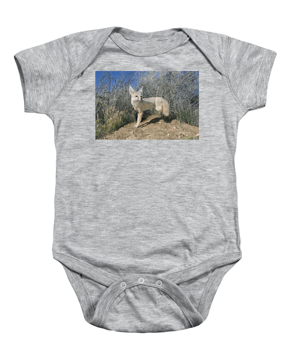 Feb0514 Baby Onesie featuring the photograph San Joaquin Kit Fox Carrizo Plain by Kevin Schafer