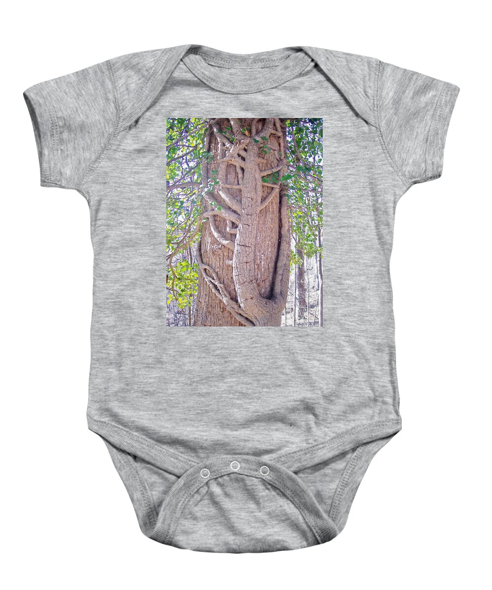 Tree Baby Onesie featuring the photograph Scorpion Tree by Richard Bryce and Family