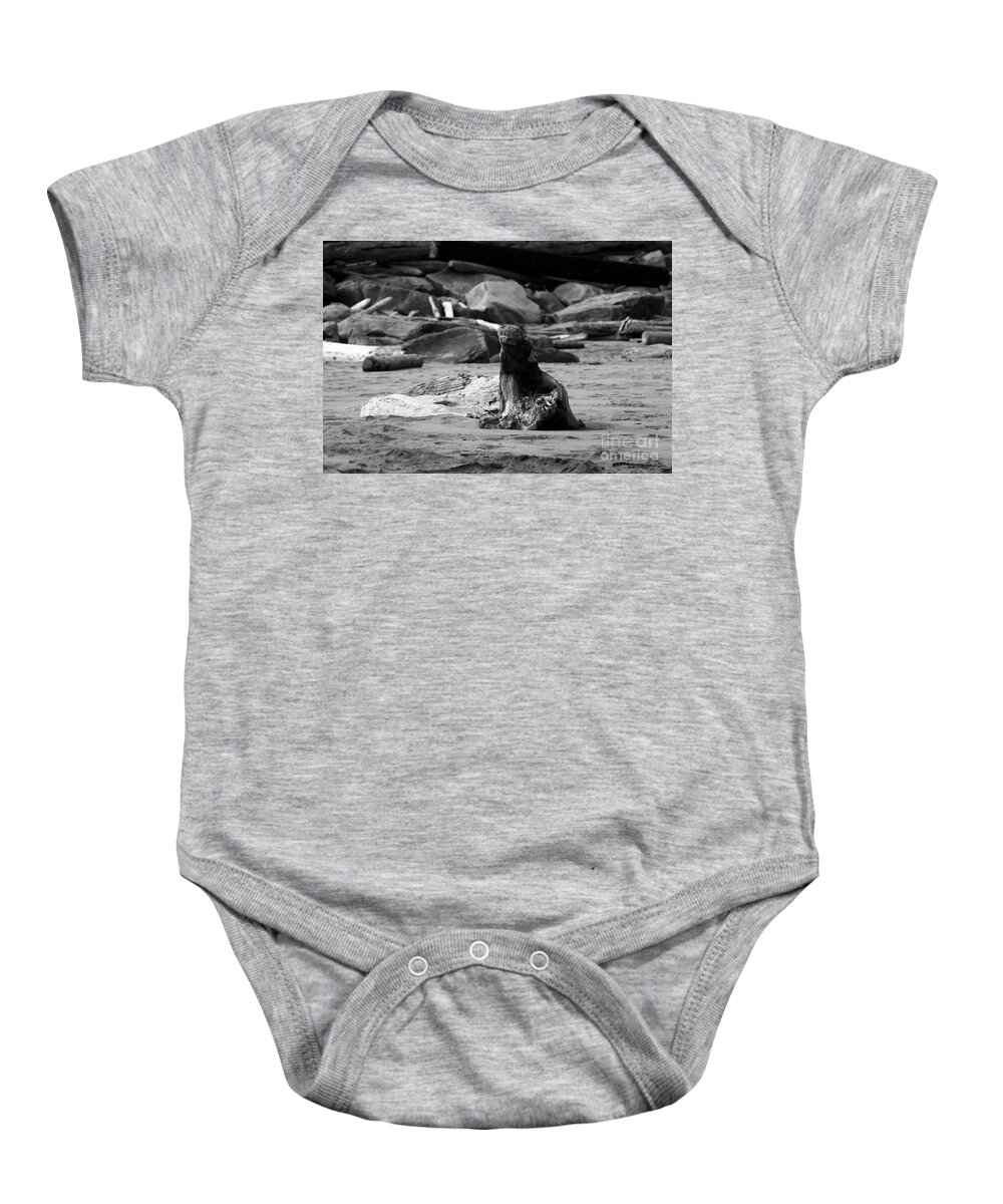 Beaches Baby Onesie featuring the photograph Sea Lion or Driftwood by Kathy McClure