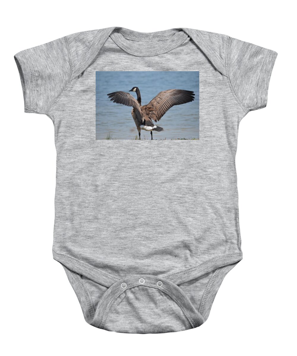 Show Of Feathers Baby Onesie featuring the photograph Show of Feathers by Maria Urso